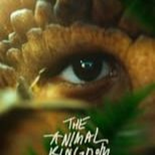 The Animal Kingdom (2023) FullMovies Mp4 TvOnline 236307