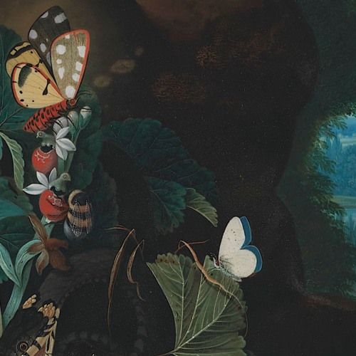 Solace (Prod. Ill Instrumentals)