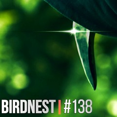 BIRDNEST #138
