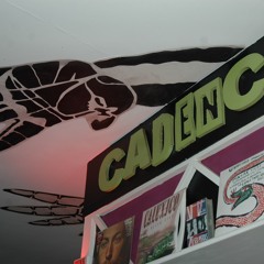 LEAVE THE SEEKER ALONE (LIVE al Perditempo)