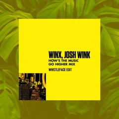 Winx, Josh Wink - How's the Music? (WHISTLEFACE Edit)