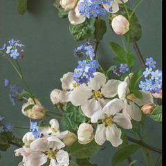 Ágape- Haylly Vitelli ft Elias Chavez — Alive Studios  AREQUIPA