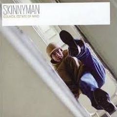 Skinnyman - Day To Day Basis - Council Estate Of Mind