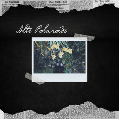Alte Polaroids
