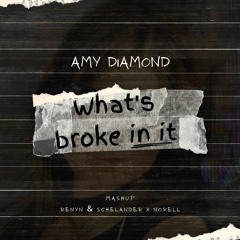 Amy Diamond - Whats Broke In It (Renyn & Schelander X Norell Mashup)