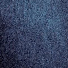 cellular chorus (disquiet0426)