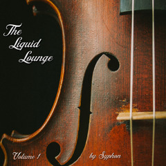 The Liquid Lounge : Volume 01