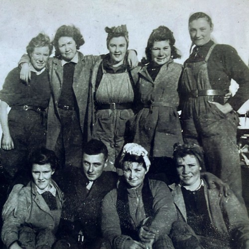Thinning & docking turnips in the 1940s