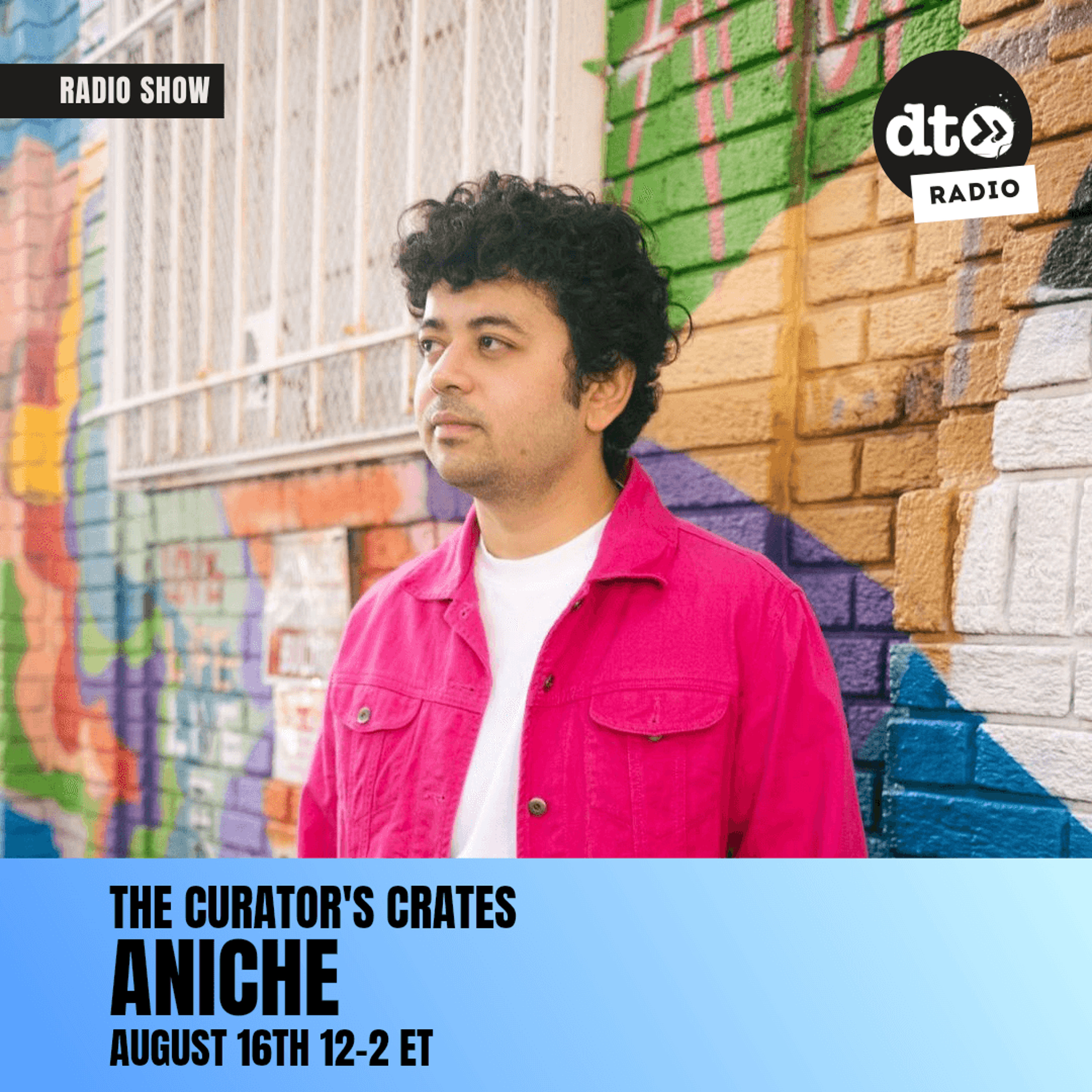 The Curator's Crates: ANICHE episode artwork