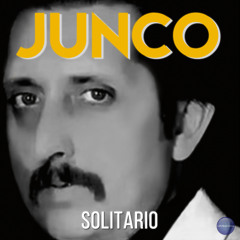 Stream Junco | Listen to Solitario playlist online for free on SoundCloud