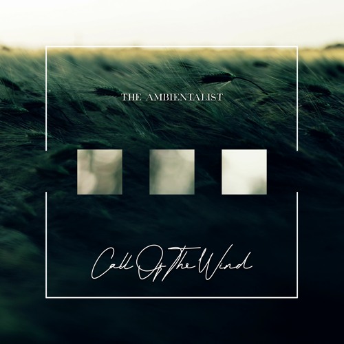 The Ambientalist - Call Of The Wind
