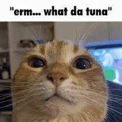 TUNA CAN [what da tuna?]