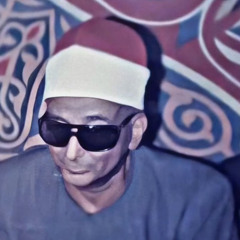 الشيخ محمد عبد العزيز حصَّان يتخطي حدود الإبداع كعادته | من سورتي الجنّ و المزمِّل