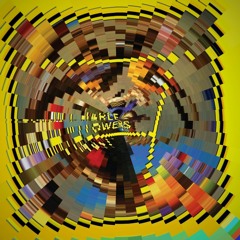 Broken Flowers Remix MADness Version
