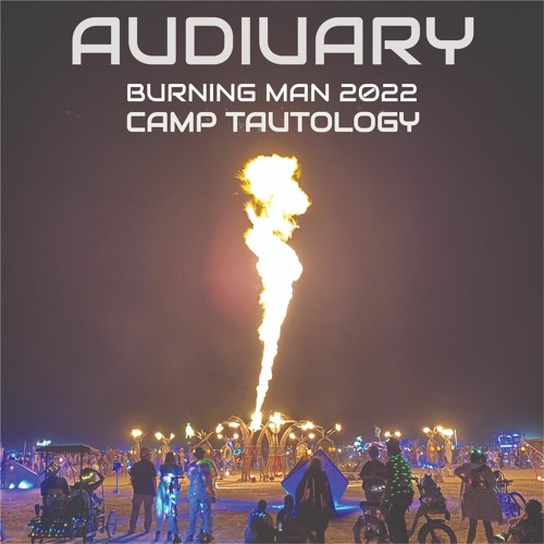 Burning Man 2022 @ Camp Tautology