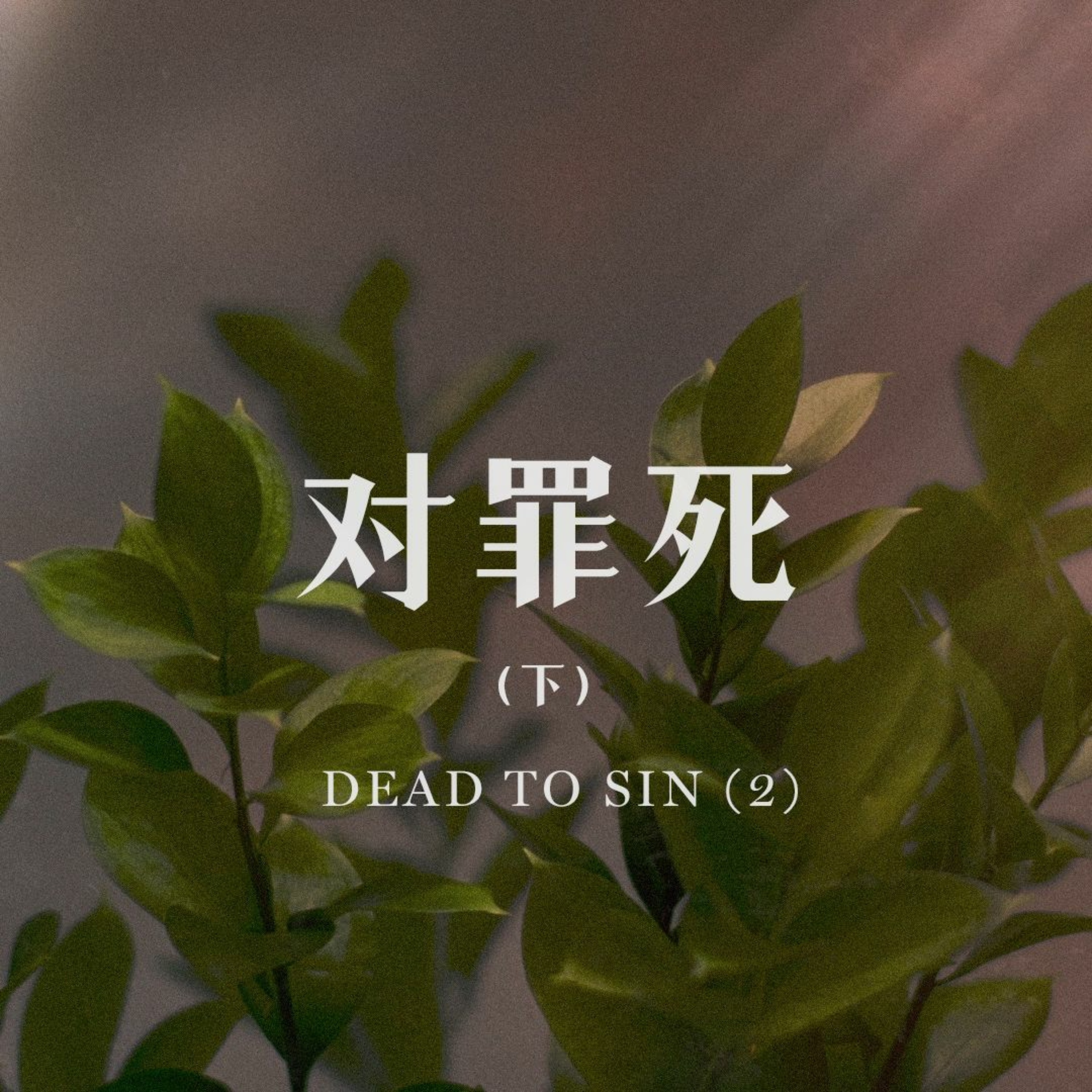 04/14/2024 【罗马书】对罪死（下）（罗 6:1-14）——王唯权 牧师 episode artwork
