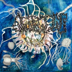 IQR005 - AUCO & Neana - Mesoglea / Anemone