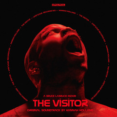 The Visitor Theme