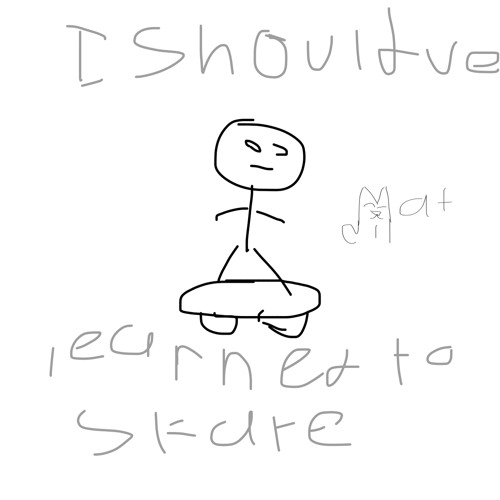 i shouldve learned to skateboard demo