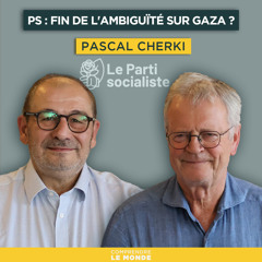 Parti socialiste : fin de l'ambiguïté sur Gaza ? Avec Pascal Cherki | Entretiens géopo
