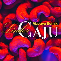 Liniker - Caju (Vizcaya Remix)