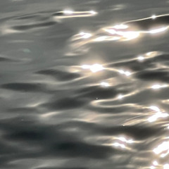 Berwick - Record your MSG