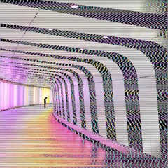 ᴢᴇɴ_ʏᴇɴ.ᴡᴀᴠ