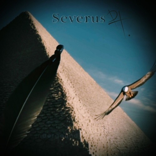 DH 🐍 SEVERUS