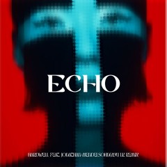 Hardwell - Echo feat Jonathan Mendelsohn(Ayu LK Remix)