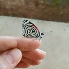 Le silence de l'ego 3 - La peur