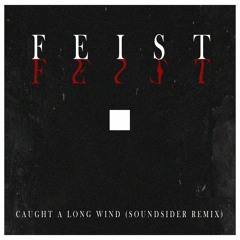 Feist - Caught A Long Wind (Soundsider Remix)