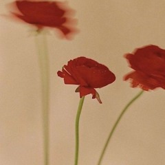 \solitary (feat. seguya viviana)