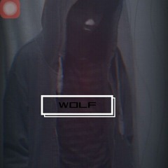 WOLF - WILD