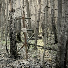Dying Autumn ( limited dose of 8)