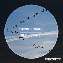 HMWL Premiere: Sound Nomaden - Bird Migration
