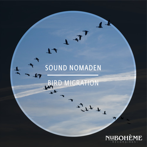HMWL Premiere: Sound Nomaden - Bird Migration