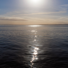 Goldcliff High Tide Shoreline - MixPre-7764_01