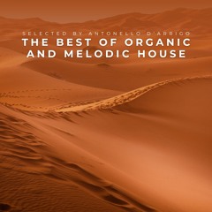 NATUNEZ @ Organic and Melodic House Live Sets