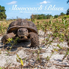 SLOWCOACH BLUES