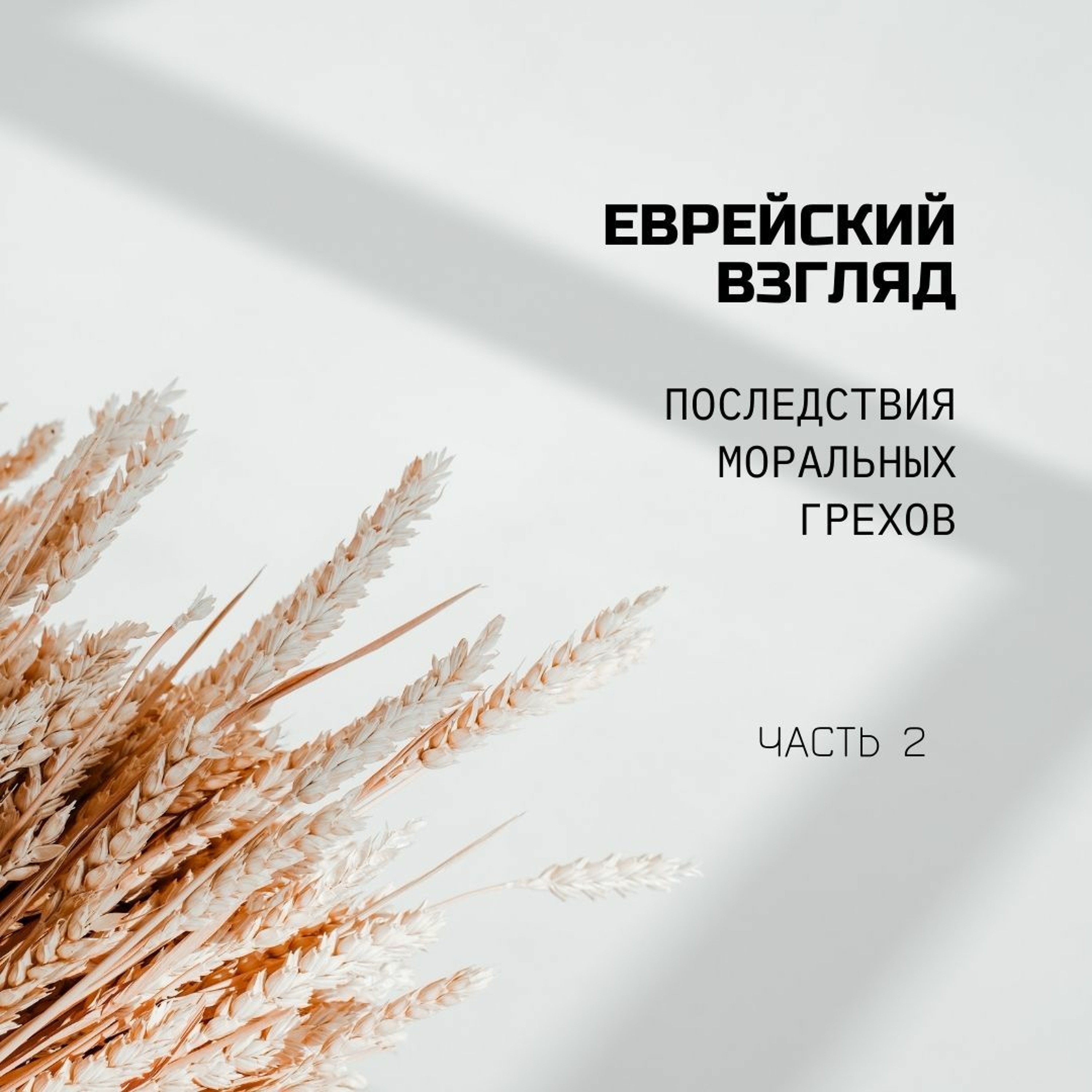 Еврейский Взгляд: Последствия Моральных Грехов. Часть 2
