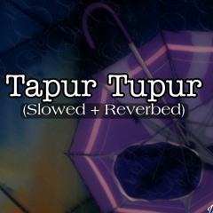 Tapur Tupur (Slowed + Reverbed) | Rosogolla | VeBrio. | Shiboprosad | Arnab Dutta |