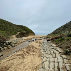 No Shirt Sunny Vibes