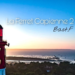 La Ferret Capienne 2 (Remix Fr)