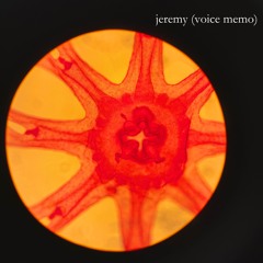 jeremy (voice memo)