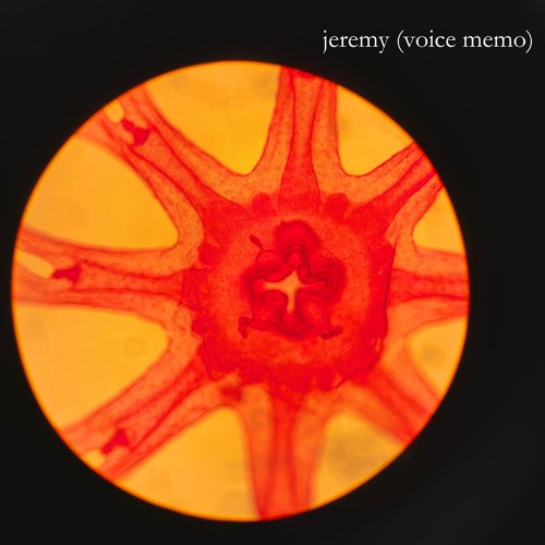 jeremy (voice memo)