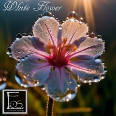 White Flower