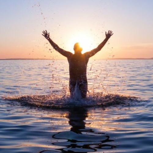 EditsOfPrime - Reborn