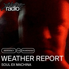 Weather Report - Vol 01