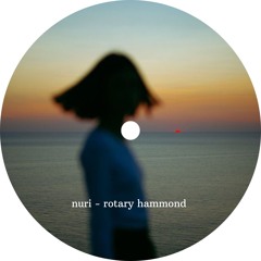 nuri - rotary hammond