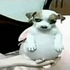 idk what to title this